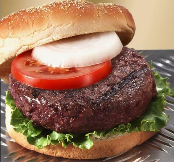 A hamburger with onions, tomato and lettuce on it.